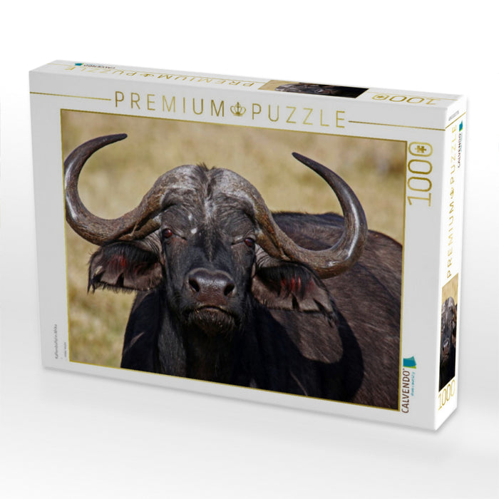Kaffernbüffel in Afrika - CALVENDO Foto-Puzzle'