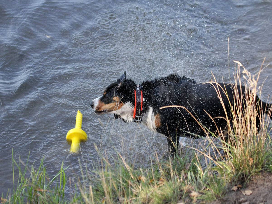Erst mal schütteln... - CALVENDO Foto-Puzzle'