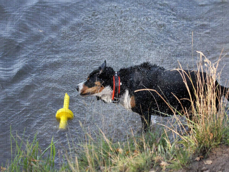 Erst mal schütteln... - CALVENDO Foto-Puzzle'