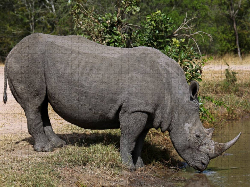 Wasserstopp fürs Nashorn - CALVENDO Foto-Puzzle'