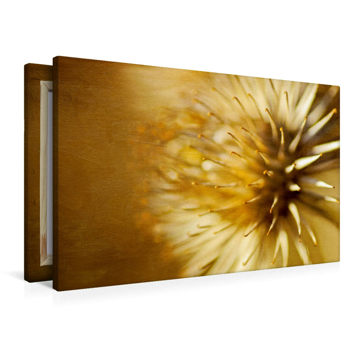 Premium Textil-Leinwand Autumn gold