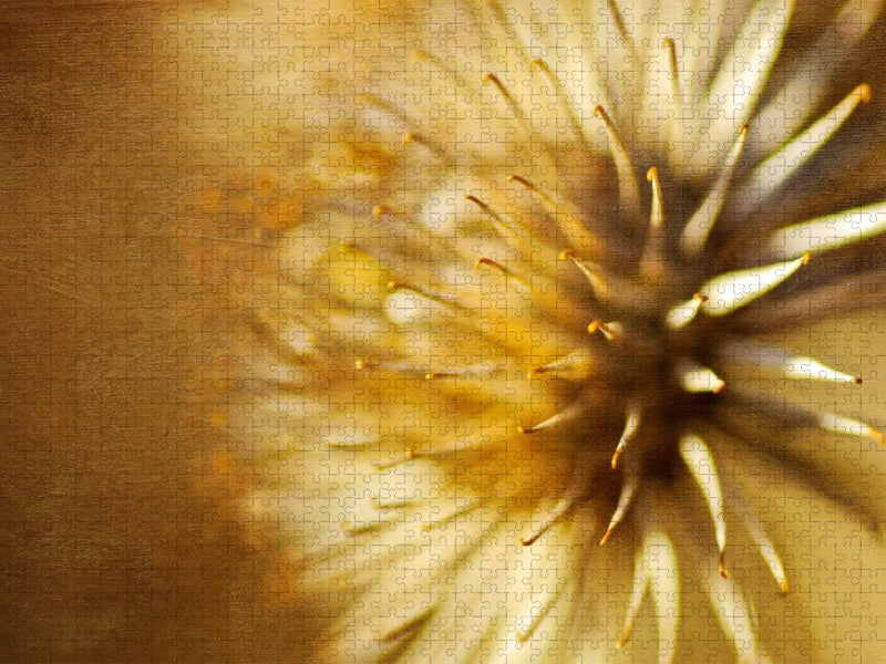 Autumn gold - CALVENDO Foto-Puzzle'