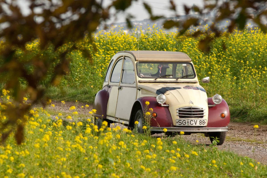 Premium Textil-Leinwand Citroën 2CV Dolly