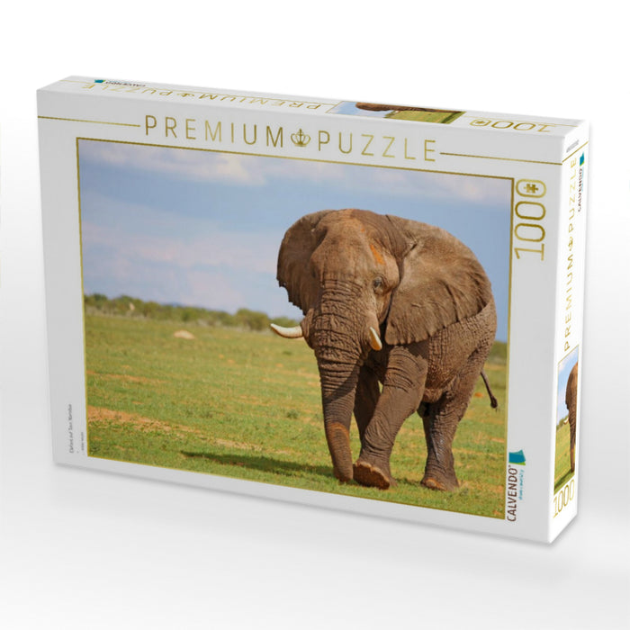 Elefant auf Tour, Namibia - CALVENDO Foto-Puzzle'