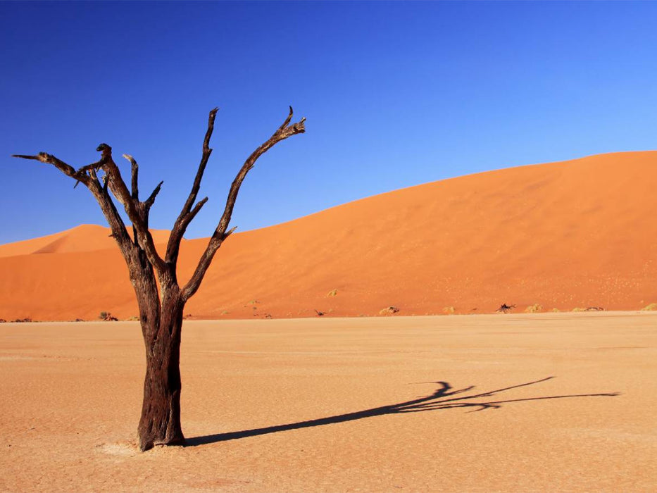 Dead Vlei in Namibia - CALVENDO Foto-Puzzle'