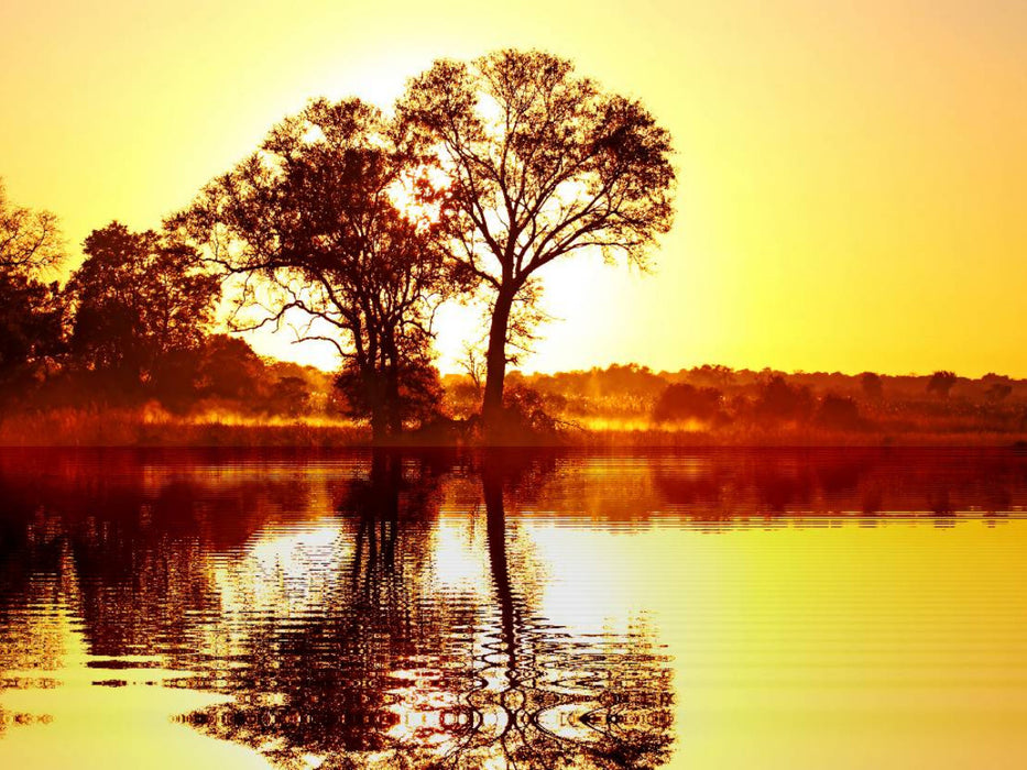 Morgens in Afrika - CALVENDO Foto-Puzzle'