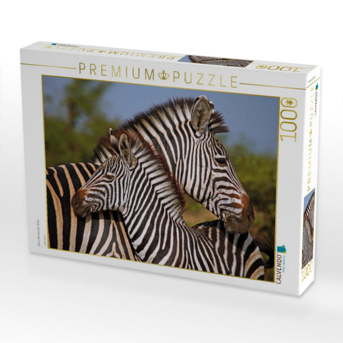 Zebra-Kleinfamilie, Afrika - CALVENDO Foto-Puzzle'