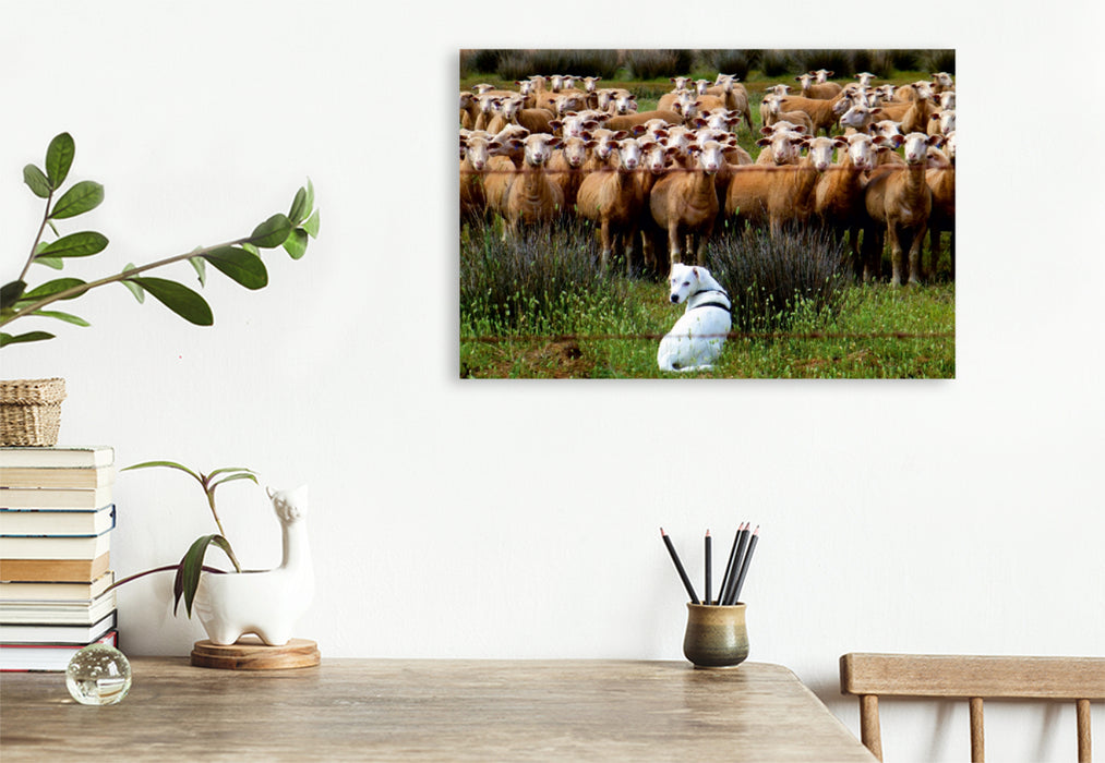 Premium Textil-Leinwand Premium Textil-Leinwand 120 cm x 80 cm quer ...einmal Schafe zu hüten