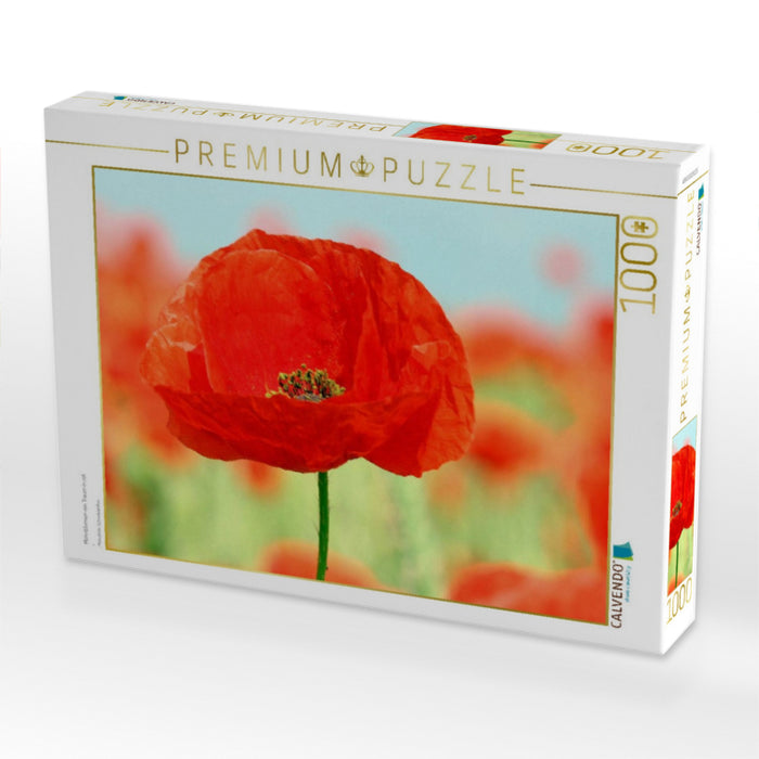 Mohnblumen-ein Traum in rot - CALVENDO Foto-Puzzle'