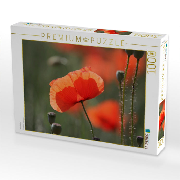 Mohnblumen - CALVENDO Foto-Puzzle'