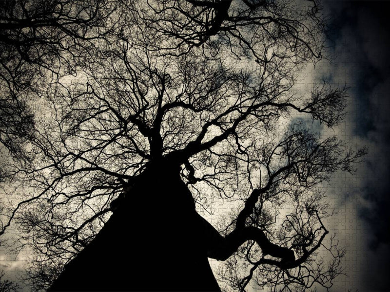 Baum in der Dämmerung - CALVENDO Foto-Puzzle'