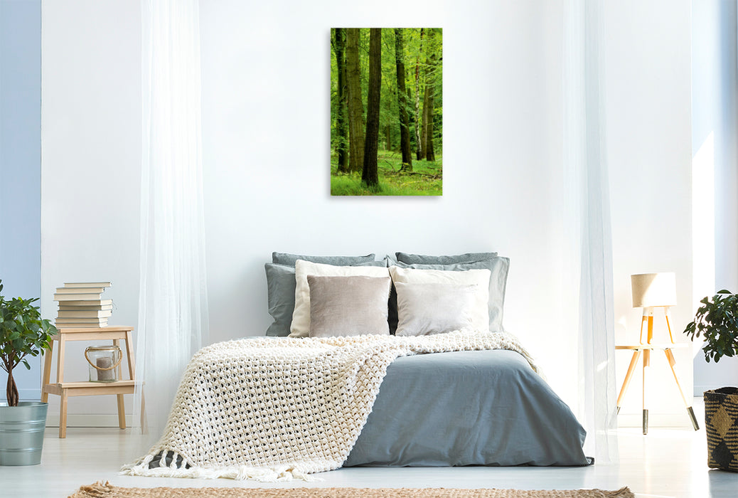 Premium Textil-Leinwand Premium Textil-Leinwand 80 cm x 120 cm  hoch Sommergrüner Wald