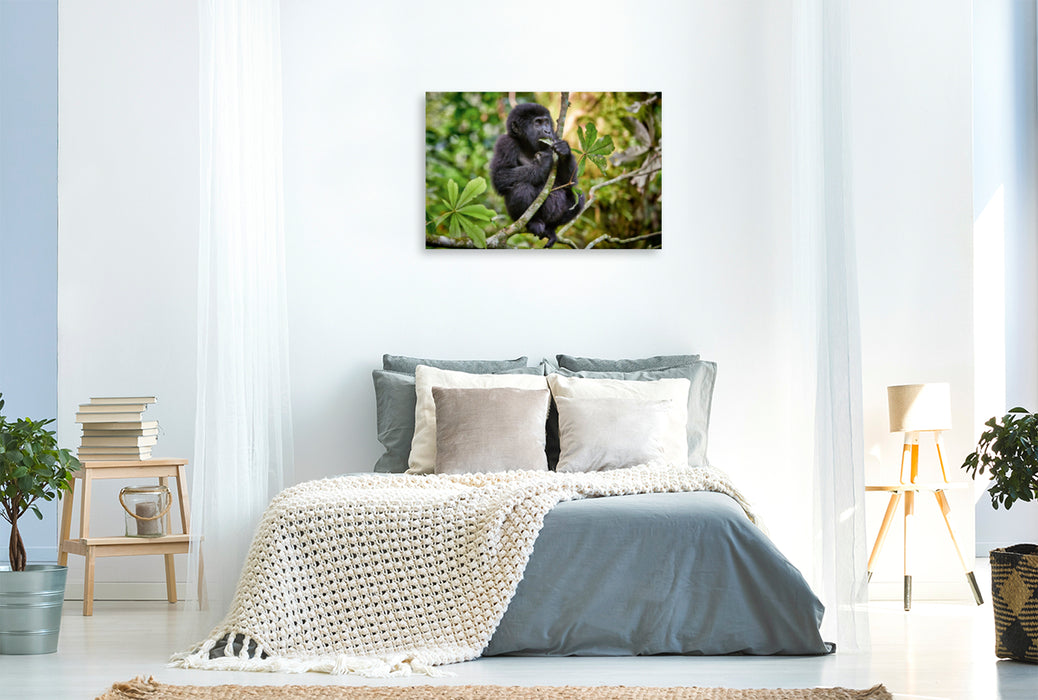 Premium Textil-Leinwand Premium Textil-Leinwand 120 cm x 80 cm quer süsser kleiner Berggorilla, Gorilla beringei beringei, Bwindi Impenetrable Nationalpark, Uganda, Afrika