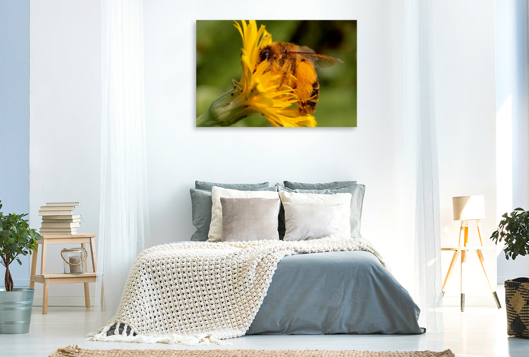 Toile textile haut de gamme Toile textile haut de gamme 120 cm x 80 cm paysage pantalon abeille sur porcelet herbe