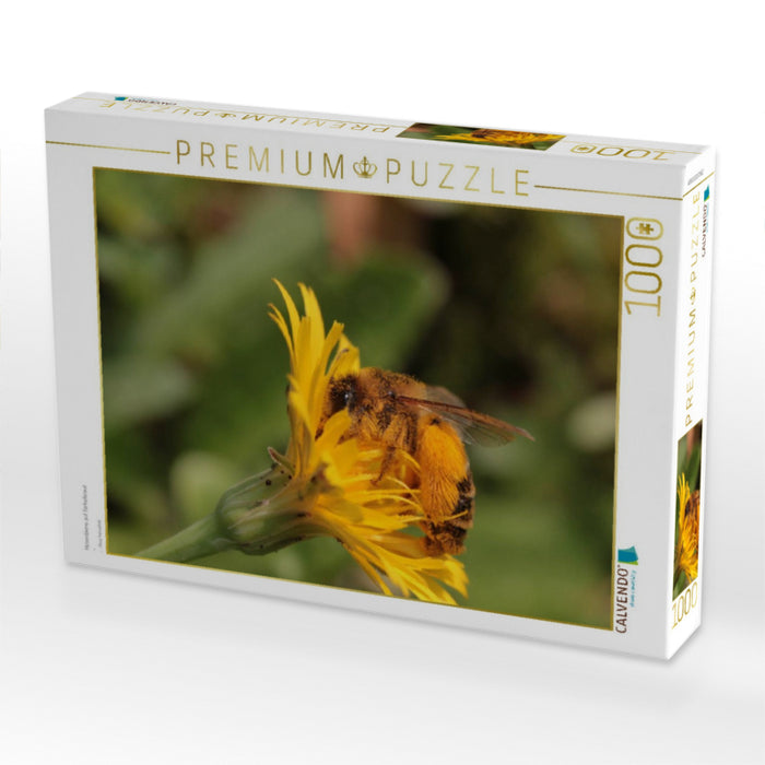 Hosenbiene auf Ferkelkraut - CALVENDO Foto-Puzzle'