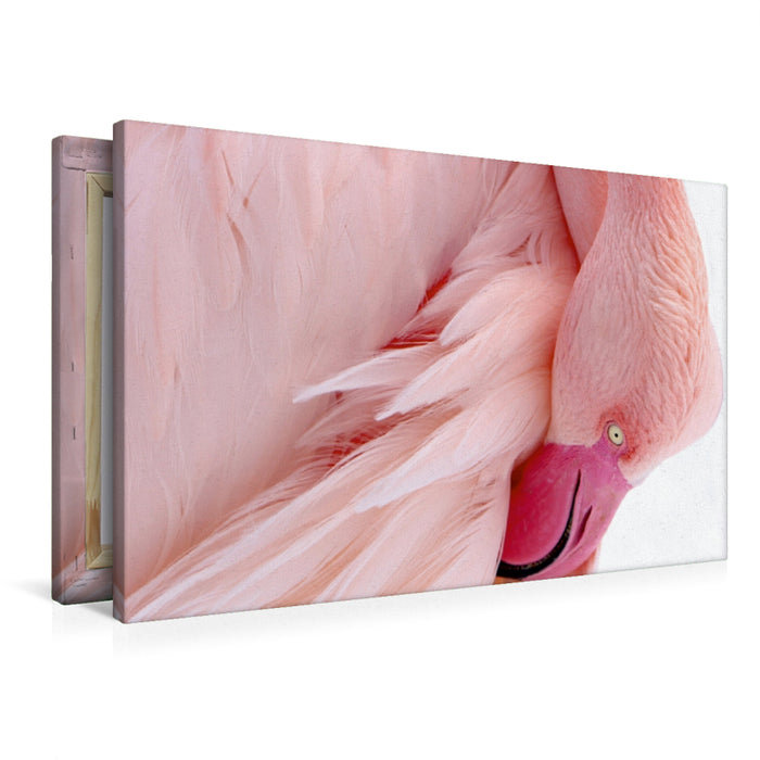 Premium Textil-Leinwand Rosa Flamingo