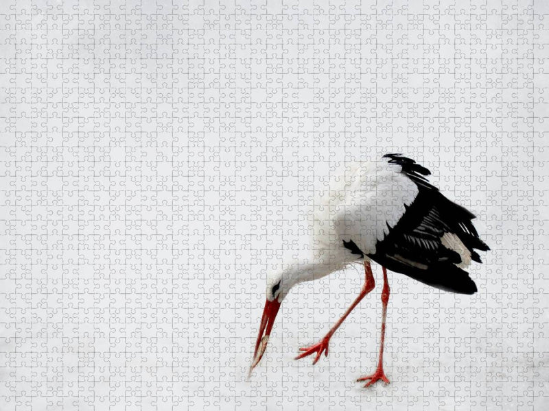 Storch - CALVENDO Foto-Puzzle'
