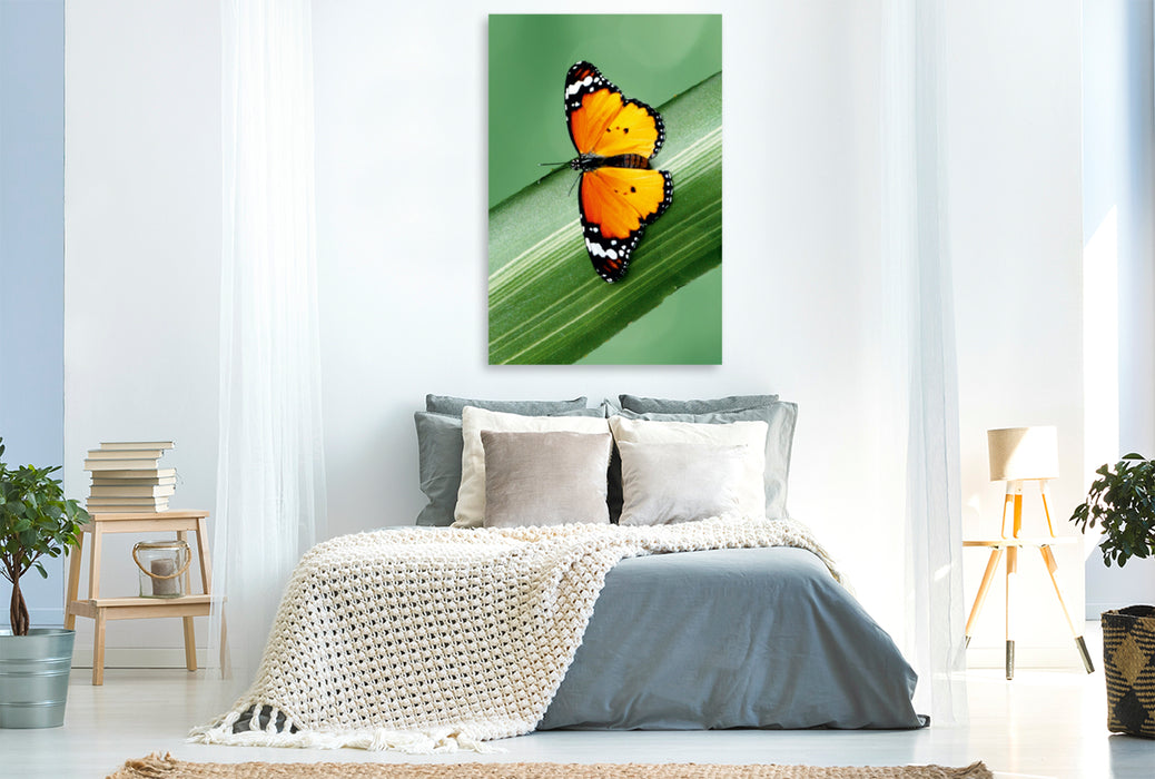 Premium Textil-Leinwand Premium Textil-Leinwand 80 cm x 120 cm  hoch Schöner exotisch leuchtender Schmetterling