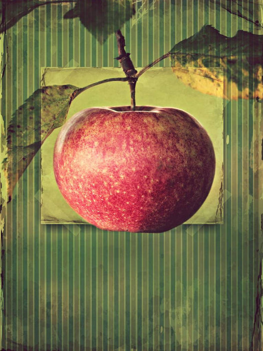 Apfel im vintagelook - CALVENDO Foto-Puzzle'