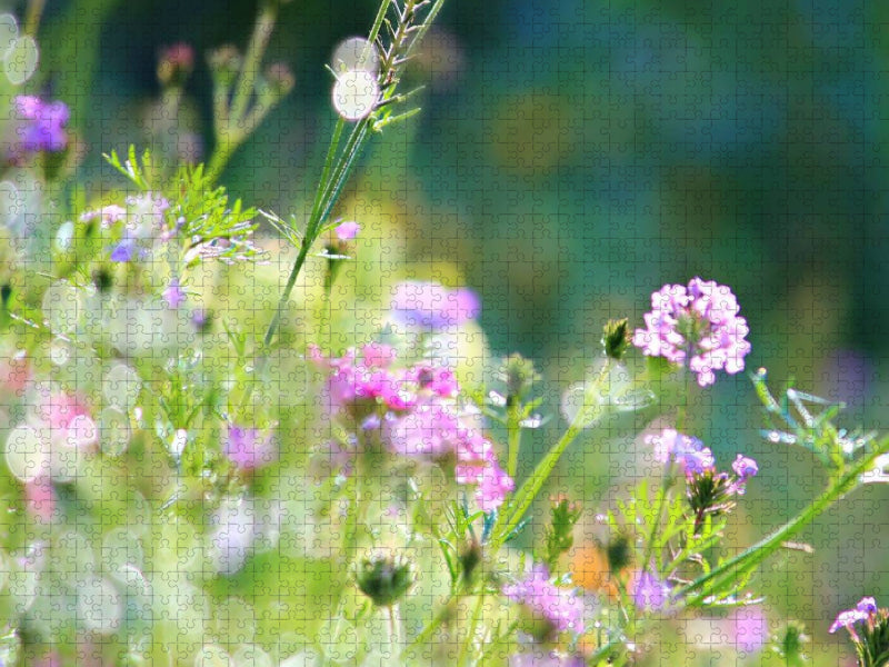 Sommerwiese im Sommerlicht - CALVENDO Foto-Puzzle'