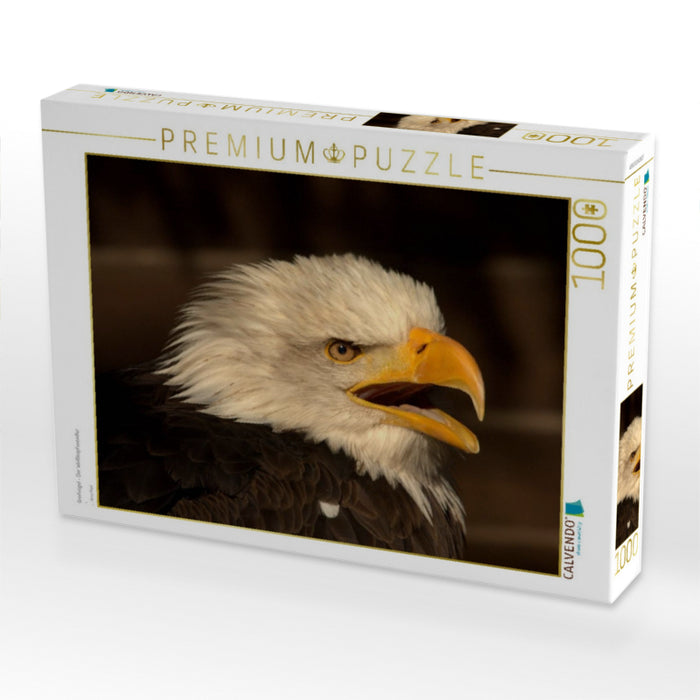 Greifvögel - Der Weißkopfseeadler - CALVENDO Foto-Puzzle'