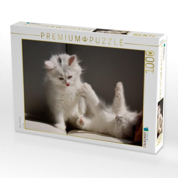 Katzen - Perserkatze - CALVENDO Foto-Puzzle'