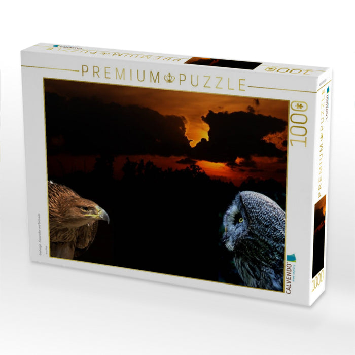 Greifvögel - Kaiseradler und Bartkautz - CALVENDO Foto-Puzzle'