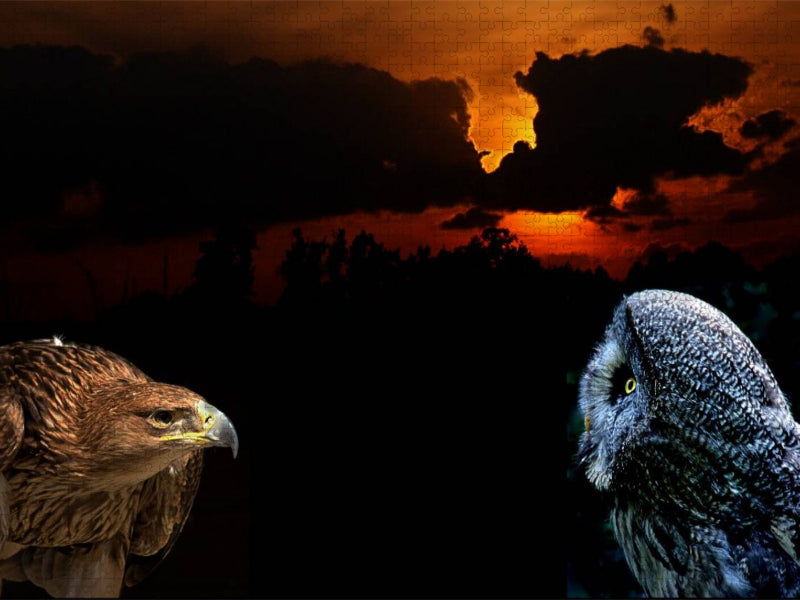 Greifvögel - Kaiseradler und Bartkautz - CALVENDO Foto-Puzzle'