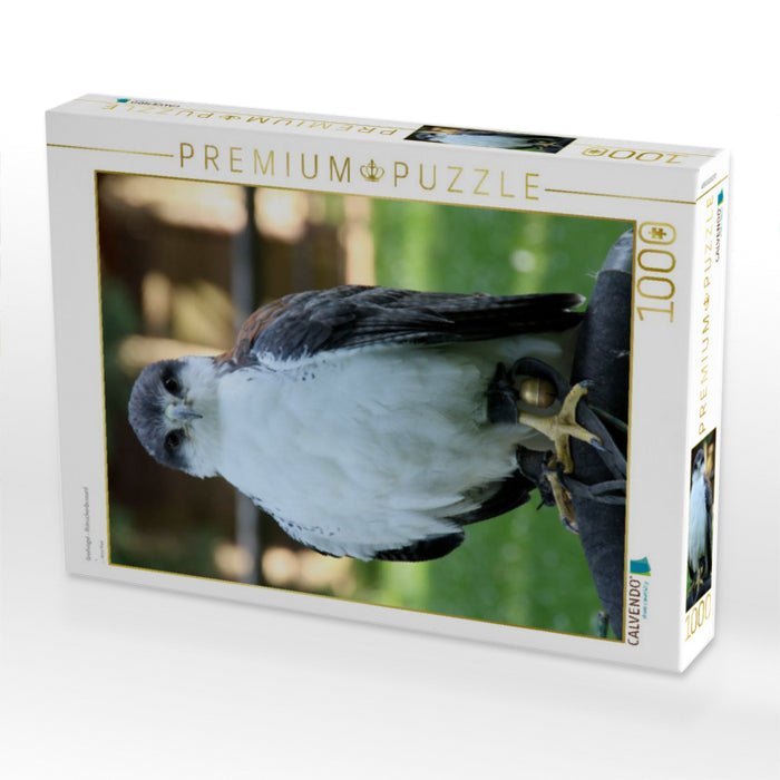 Greifvögel - Rotrückenbussard - CALVENDO Foto-Puzzle'