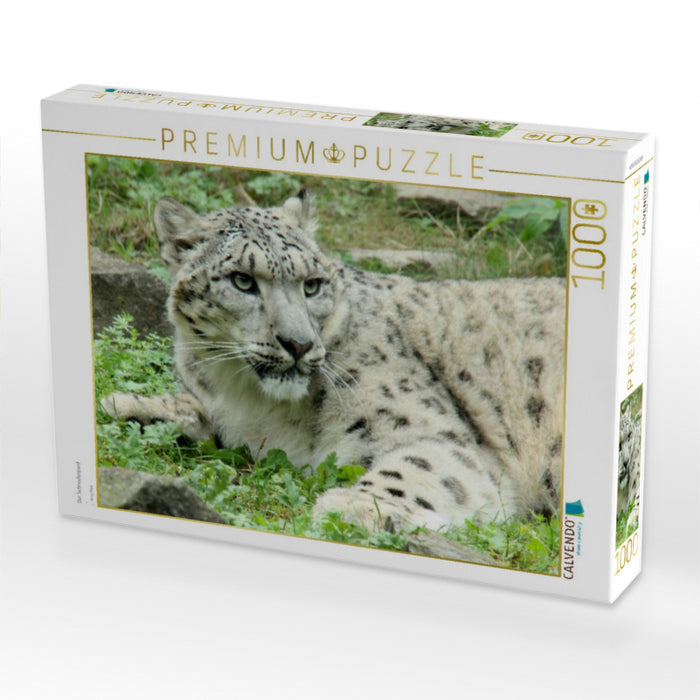 Der Schneeleopard - CALVENDO Foto-Puzzle'
