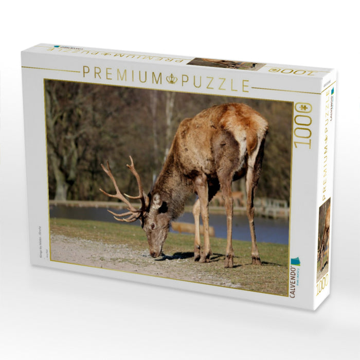 Könige des Waldes - Hirsche - CALVENDO Foto-Puzzle'