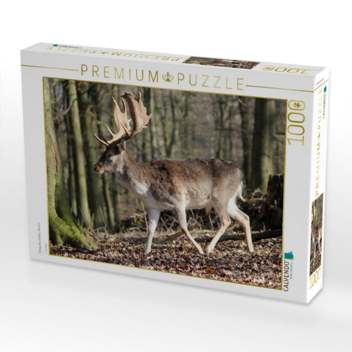Könige des Waldes- Hirsche - CALVENDO Foto-Puzzle'