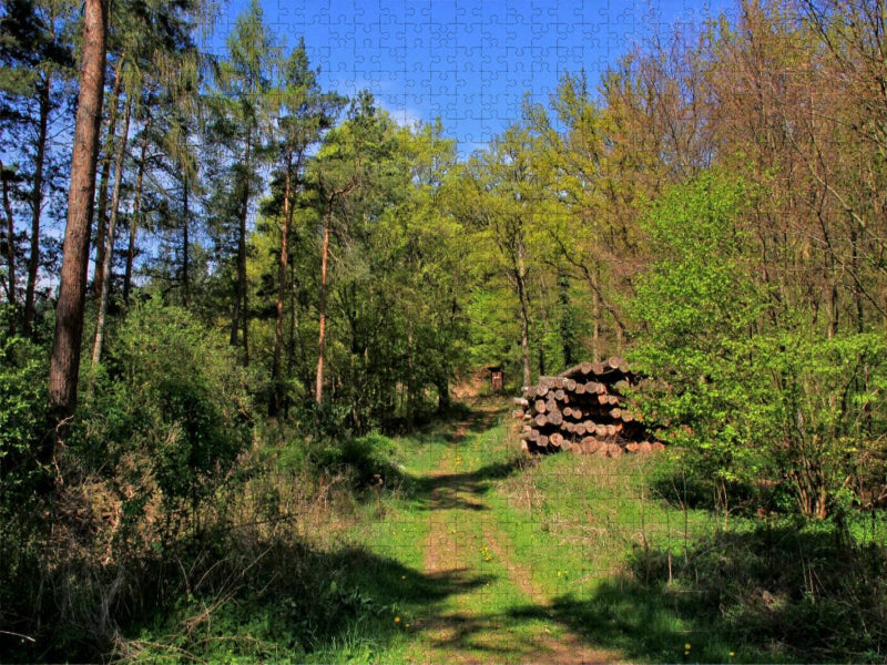 Herrlicher Waldweg - CALVENDO Foto-Puzzle'