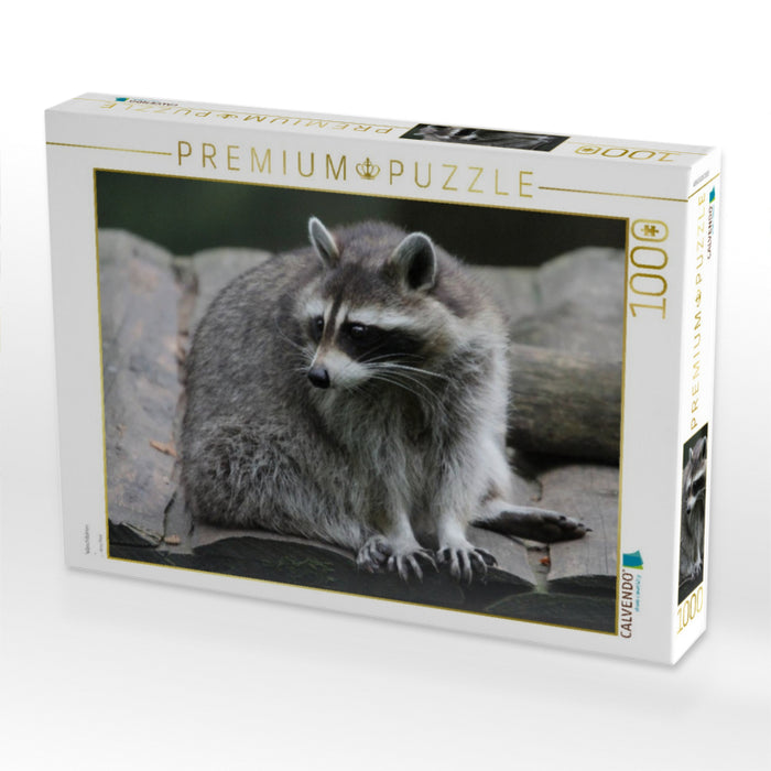 Waschbären - CALVENDO Foto-Puzzle'
