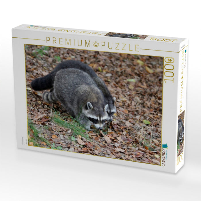 Waschbären - CALVENDO Foto-Puzzle'