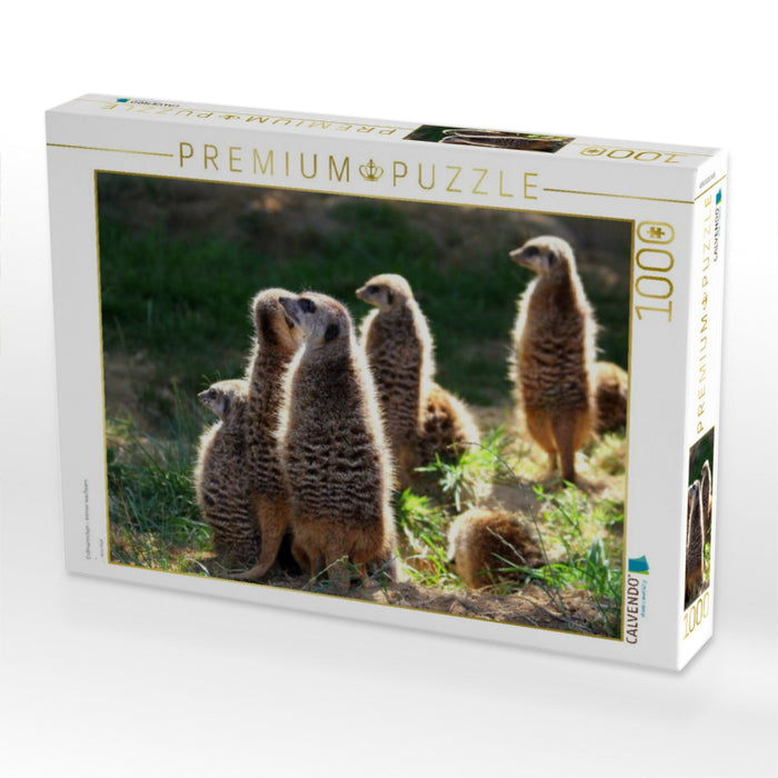 Erdmännchen - Immer wachsam - CALVENDO Foto-Puzzle'