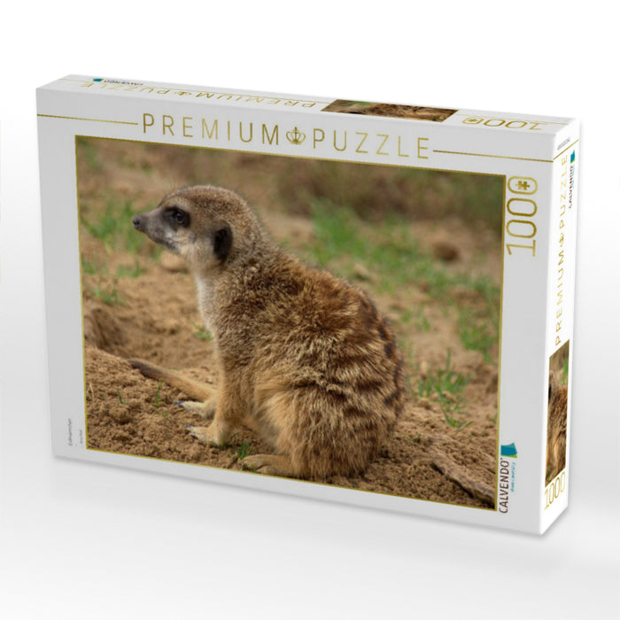 Erdmännchen - CALVENDO Foto-Puzzle'