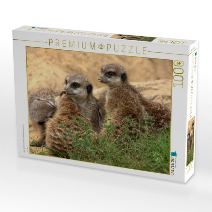 Aneinander kuscheln lieben Erdmännchen - CALVENDO Foto-Puzzle'