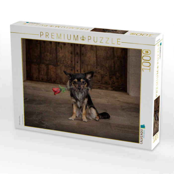 Chihuahuas Rose - CALVENDO Foto-Puzzle'