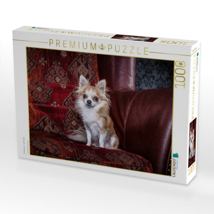 Chihuahuas - Cool & nett - CALVENDO Foto-Puzzle'