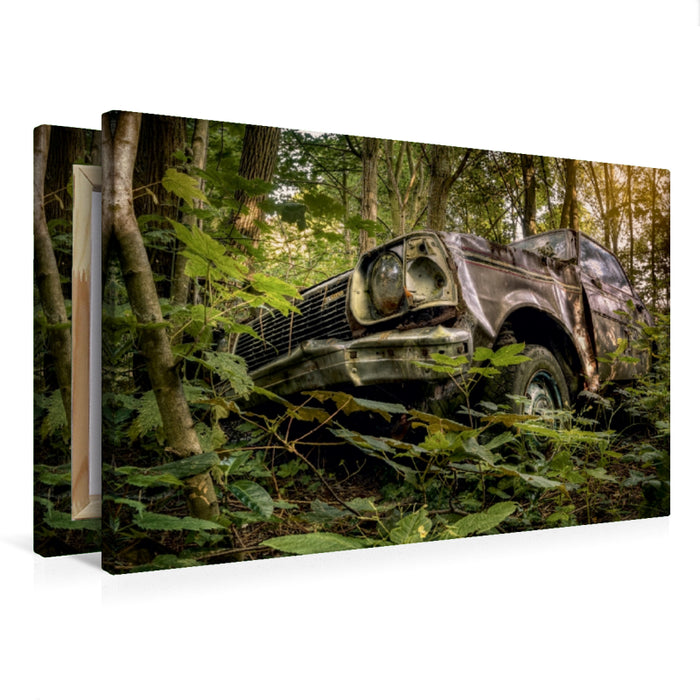 Premium Textil-Leinwand Rostlaube - Mazda 323
