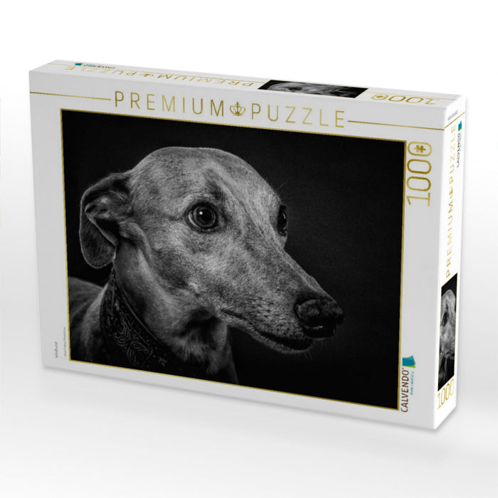 Windhund - CALVENDO Foto-Puzzle'