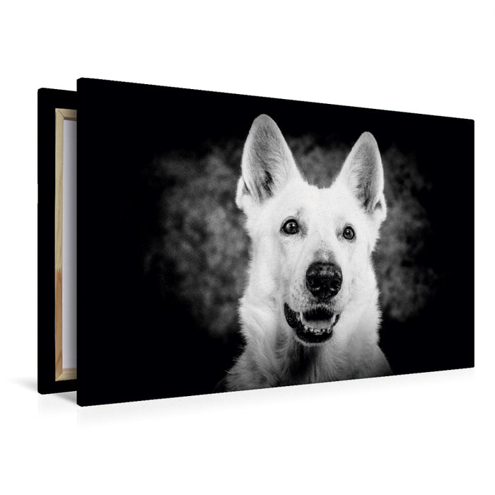 Premium Textil-Leinwand Schäferhund