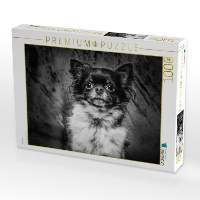 Chihuahua - CALVENDO Foto-Puzzle'