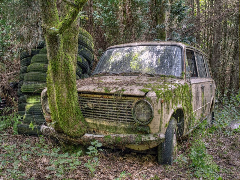 Rostlaube - Lada - CALVENDO Foto-Puzzle'