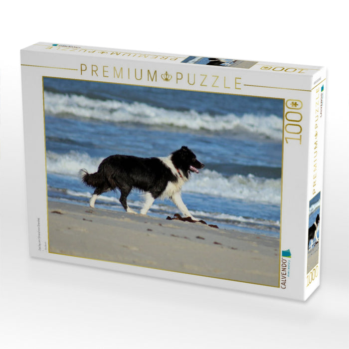 JayJay am Strand von Grønhøj - CALVENDO Foto-Puzzle'