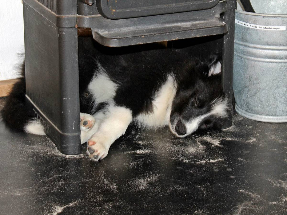 Yaris liebt den Kamin - CALVENDO Foto-Puzzle'