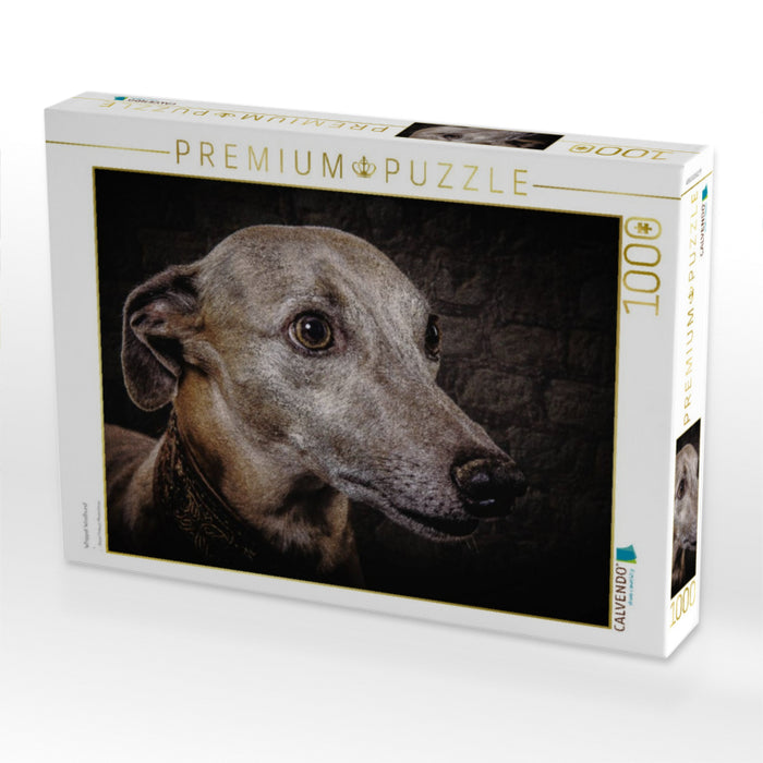 Whippet Windhund - CALVENDO Foto-Puzzle'