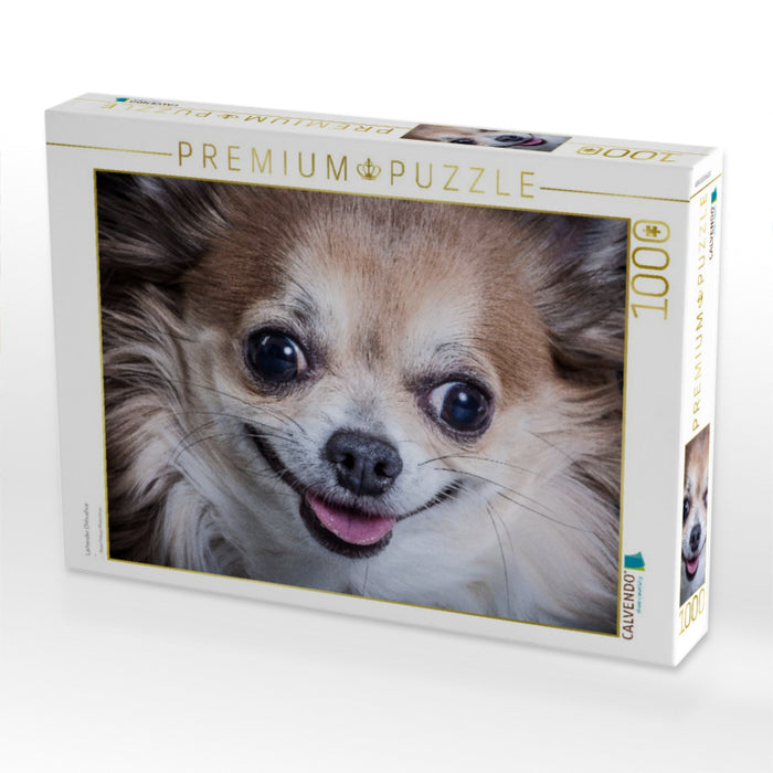 Lachender Chihuahua - CALVENDO Foto-Puzzle'
