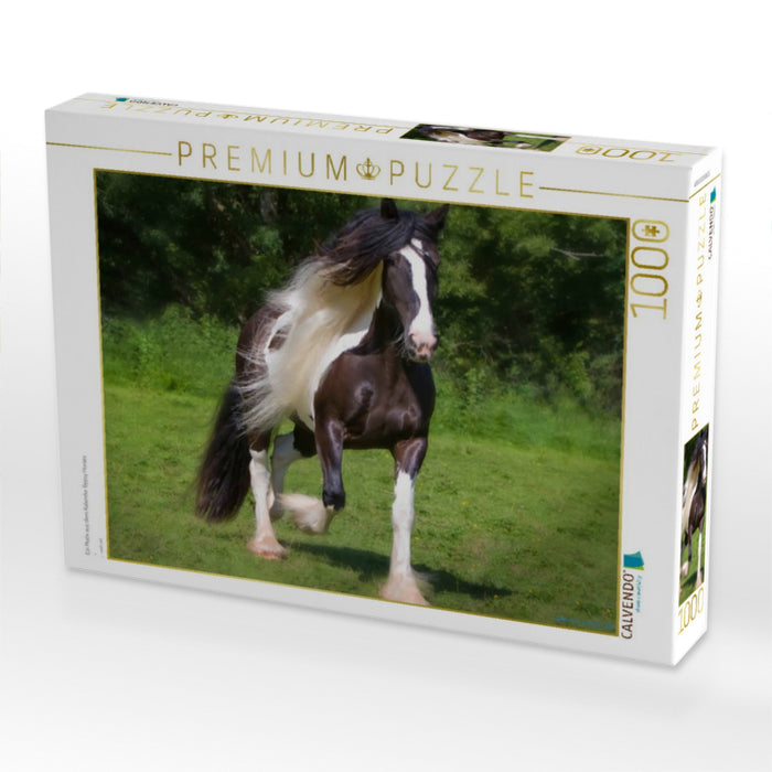 Ein Motiv aus dem Kalender Gypsy Horses - CALVENDO Foto-Puzzle'